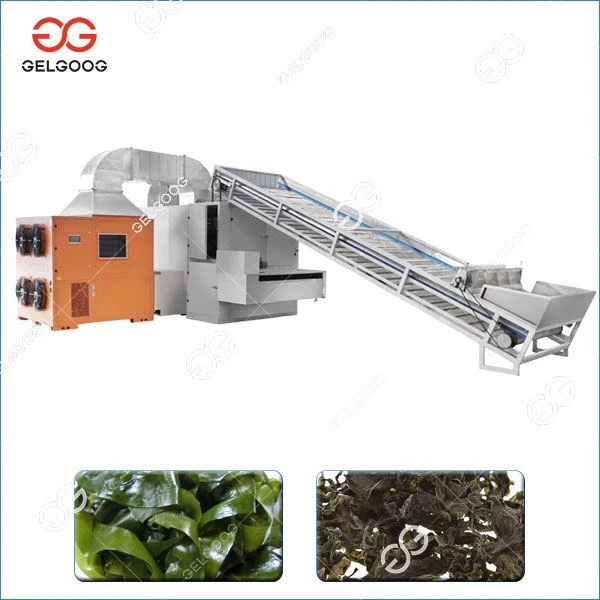 Seaweed Drying Machine
